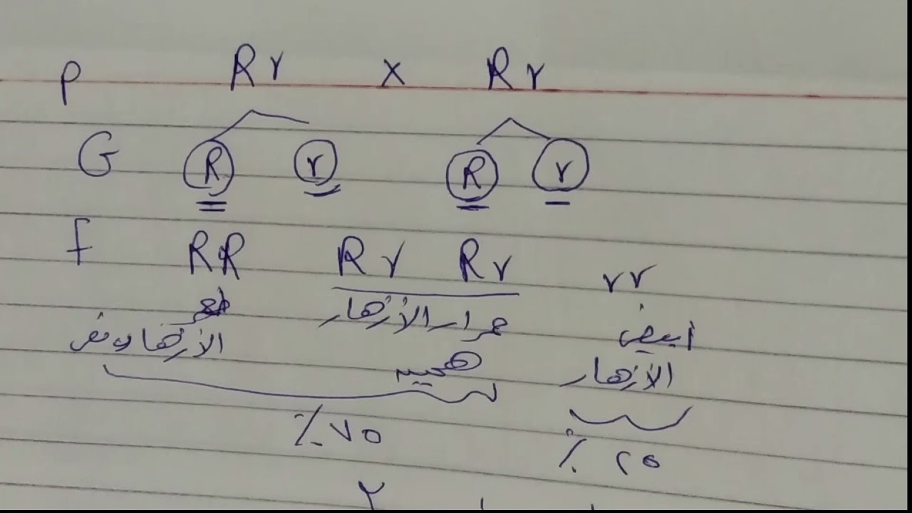 حل مسائل متنوعه على الوراثه -ص245 كتاب الامتحان - علوم الصف الثالث الاعدادى