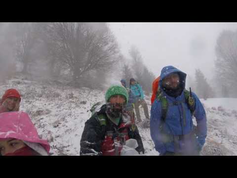 აეე გურამ ! თოვლიან რაზმეთის მთასთან - Le one Emotions