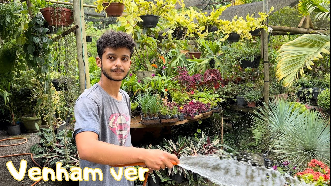 AQUI TEM A FLOR MAIS BONITA QUE EXISTE.