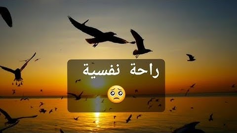✨ تلاوة خاشعة تُبكي القلوب | صوت يأخذك إلى عالمٍ آخر | الشيخ ياسر الدوسري 📖
