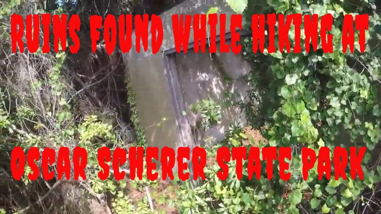 Florida state Park Camping Oscar Scherer State Park Campground - YouTube