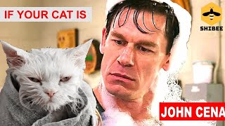 If your cat is Cat Cena #6 | memes | try not to laugh