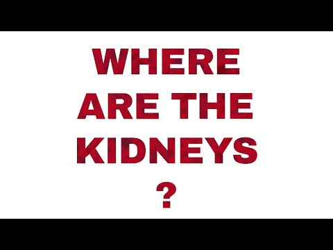 Video: A fost rinichiul tău?