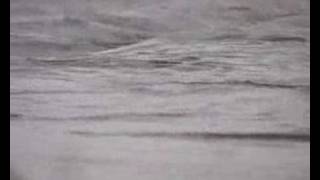 Les bateliers de Blois