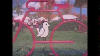 Real World Classroom Student Project - Basia Coulter