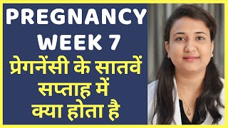 प्रेगनेंसी का सातवां सप्ताह | PREGNANCY WEEK 7 screenshot 1