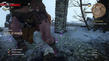 Witcher 3 Beating a level 30 Cyclops to death