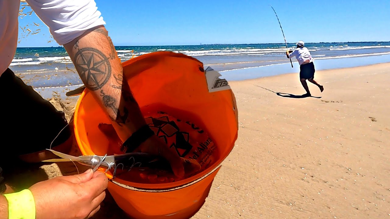 LE PONGO UN 🤯JUREL GIGANTE🤯 AL VIVO Y ME PICA EL 🔞MONSTRUO🔞 DEL LAGO NESS ☢️