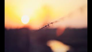 Sunset 3D Waves Live wallpaper
