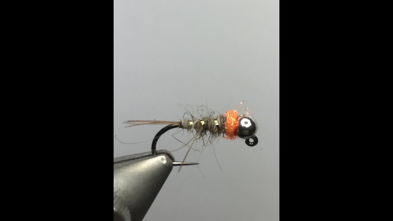 Nymphe d'ouverture : La tag orange