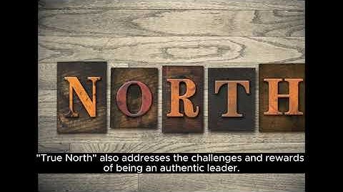 2 Minute summary of "True North: Discover Your Authentic Leadership" by Bill George