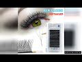 Yelix 3D W Shape Eyelash Extensions 3D Premade Volume Fan Lashes High Quality Natural Individual Las