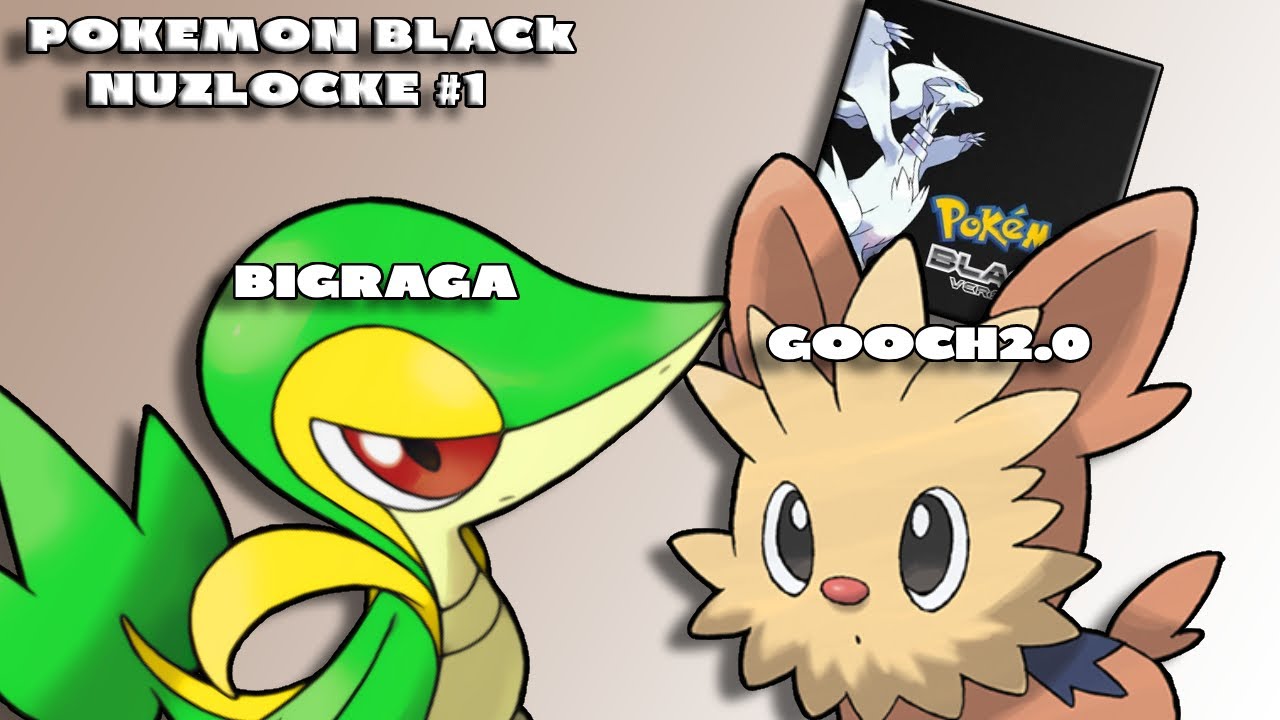 POKÉMON BLACK NUZLOCKE!!!! DIDDLER ADVENTURES PT. 1 - YouTube