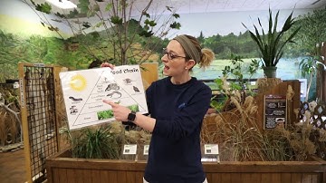 5th Lesson Two Interdependent Relationships 5 LS2 A