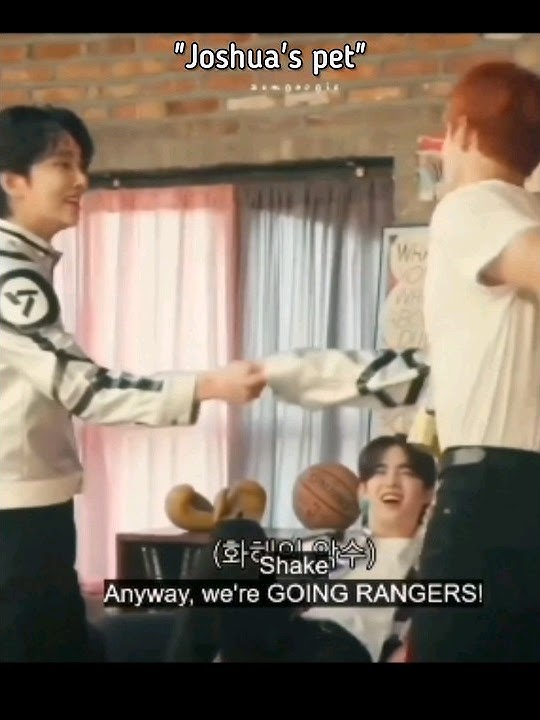 [SEVENTEEN] scared of their leader💀Vs joshua's new pet🐶😅.. #dk#seventeen#dino#joshua#wonwoo#dokyeom