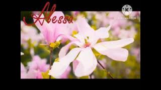 Zunika - EYE (ALESSA)