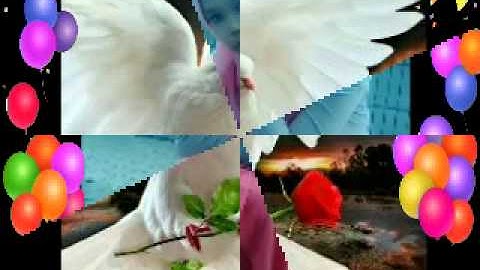 Simpang lima ninggal janji