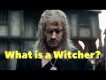 What is a Witcher? Powers, skills and origin explained