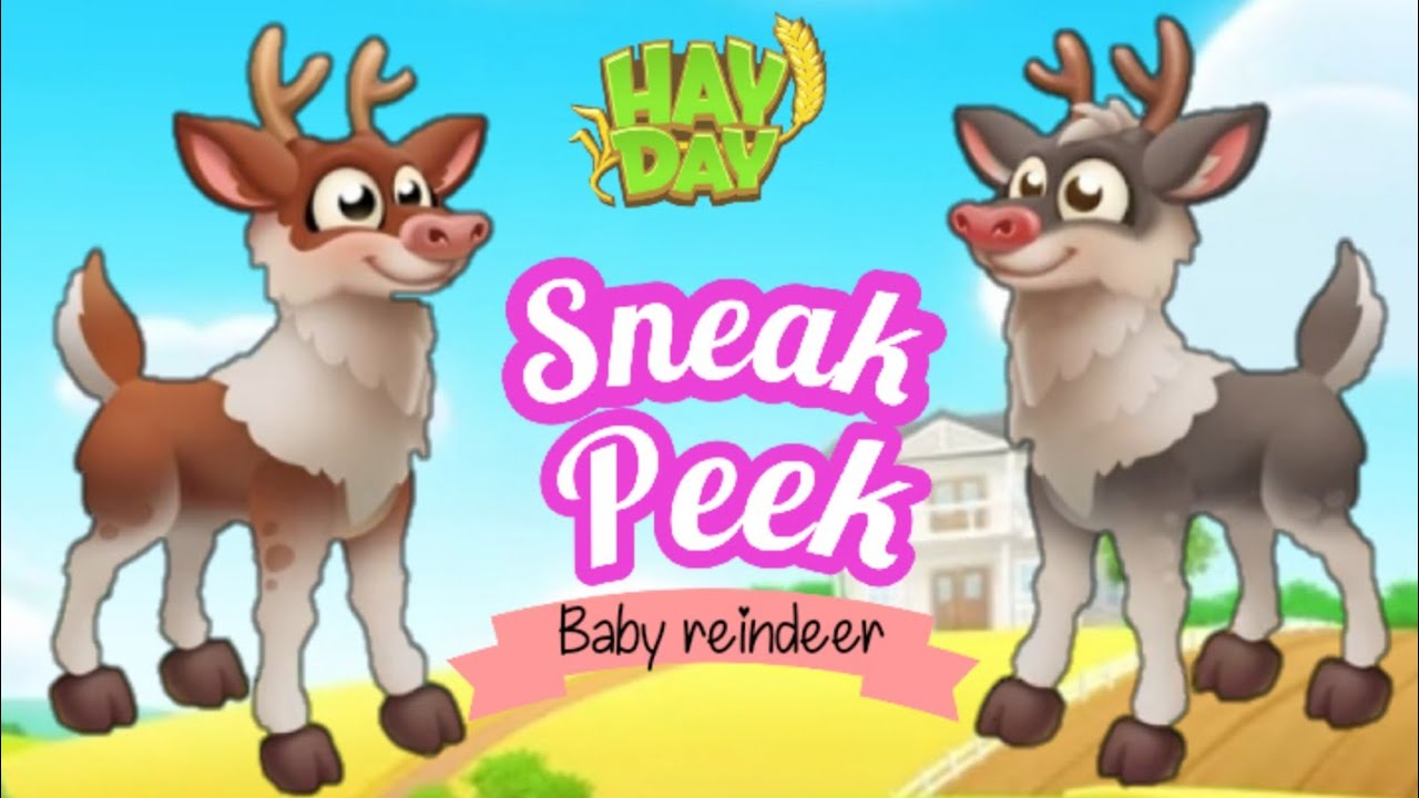 Hay Day Upcoming Baby Reindeer Summer Update 2021 YouTube Hay Day Upcoming Baby Reindeer Summer Update 2021 YouTube