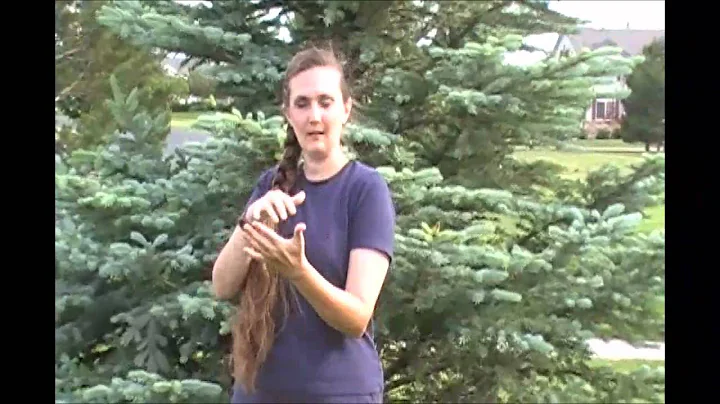 Bio - Teresa Powers - President