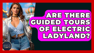 Are There Guided Tours Of Electric Ladyland? - Exploring The Benelux
