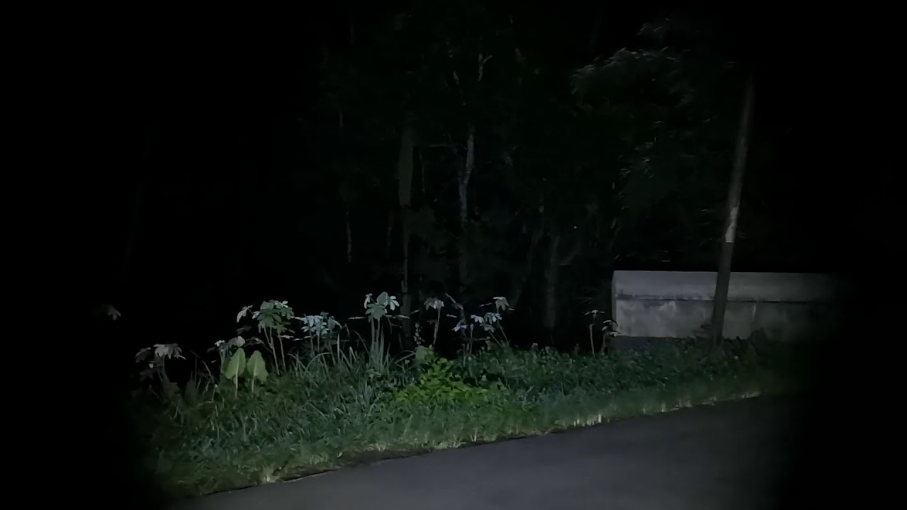 480+ Hantu Gendong Bayi HD