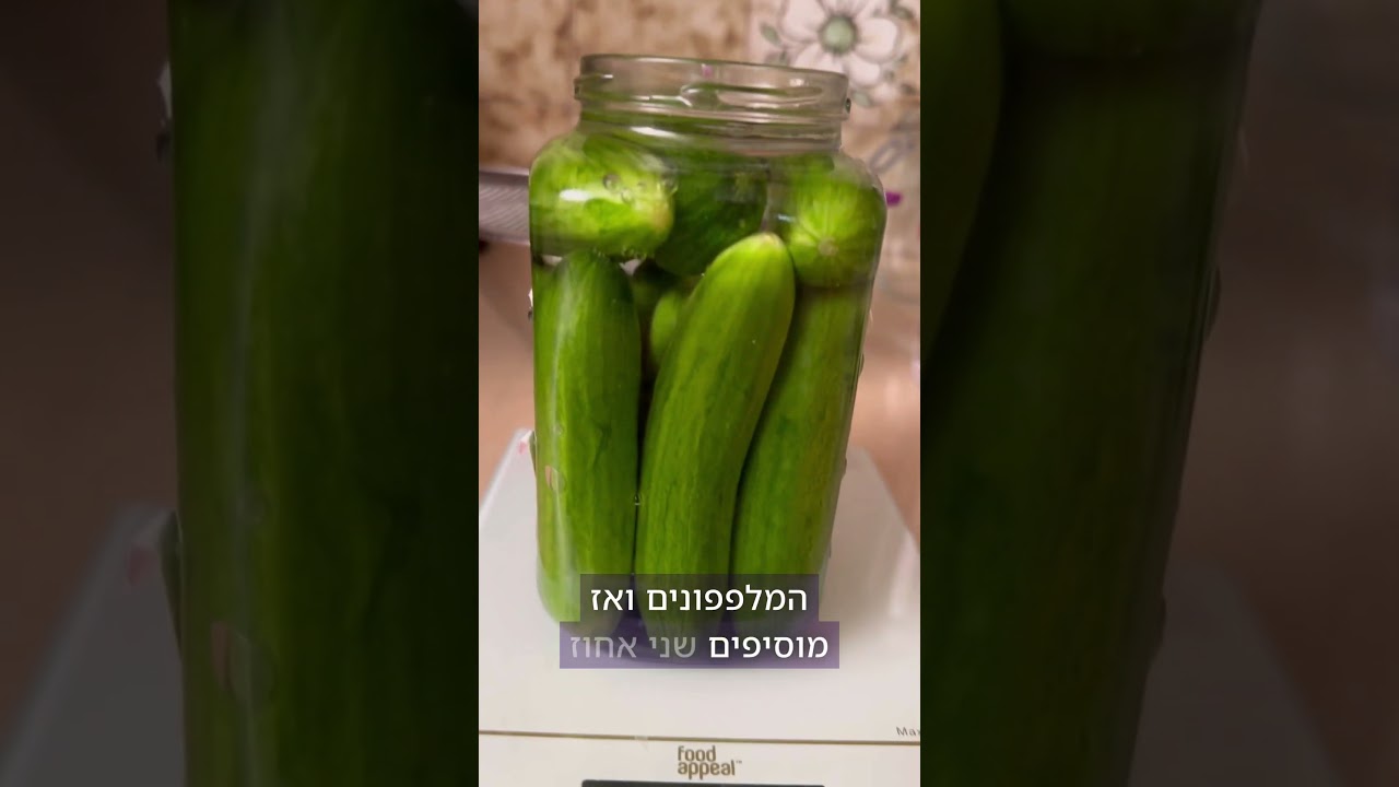 מלפפונים חמוצים ביתיים בקלי קלות (צריך רק מלפפונים, מים, מלח וצנצנת)