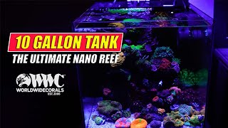 The Ultimate Nano Reef 10G?