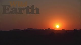 WildEarth - Sunset Safari - 26 July 2020