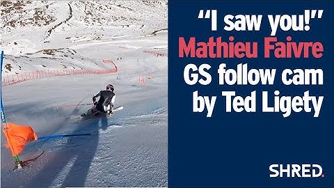 11 Gold Medals in 1 Run | Mathieu Faivre GS + Ted Ligety