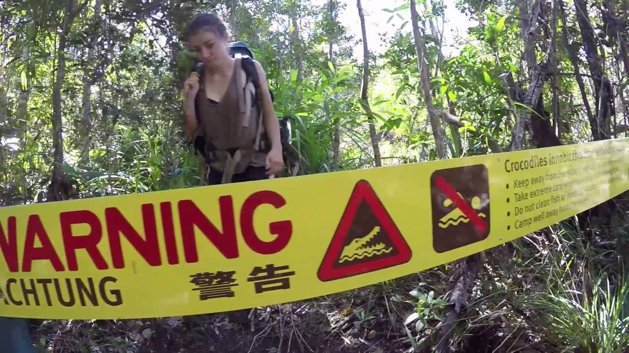 Hiking Hinchinbrook Island - YouTube