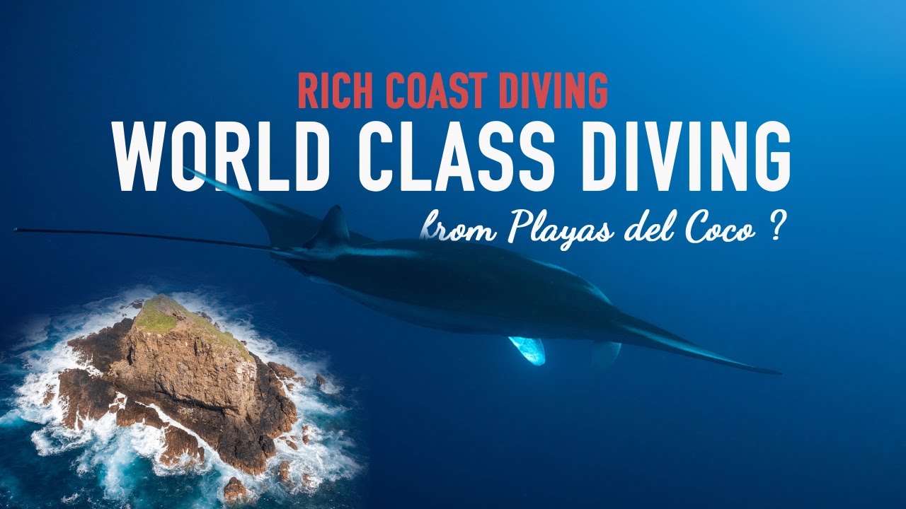 Best Dive Sites in Costa Rica