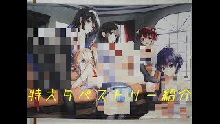 【冴えない彼女の育てかた】アニプレックス／深崎暮人　Ｂ０タペストリー【ANIPLEX】