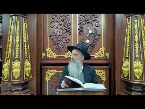 שולחן ערוך או"ח סימן ל"ב • סדר כתיבת תפילין  | הרב מאיר דוד שמואלי