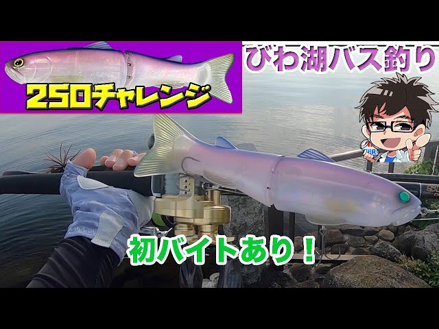 フォローと食わせるタイミングについて考える【スライドスイマー250