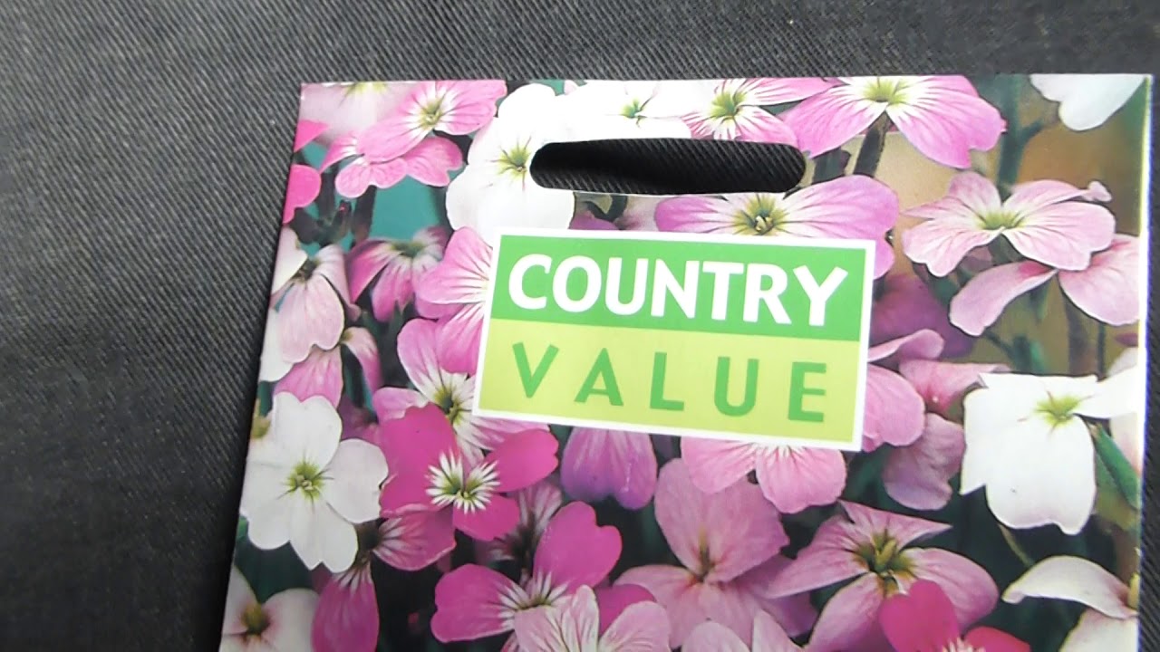 Virginia Stock Seeds - Malcomia maritima - Blómafræ - Sumarblóm