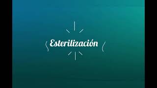 Lavado y empaquetado para esterilización de instrumental odontológico. 🦷