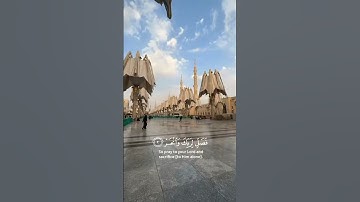 سورة الكوثر | عبدالرحمن مسعد