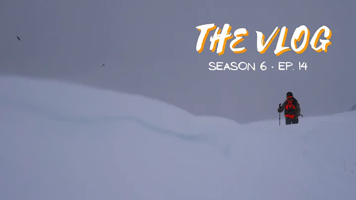 Fall Highlights and Late-Season Bucks