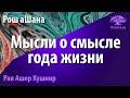 Мысли о смысле года жизни. Рав Ашер Кушнир