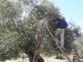 فيلم عن برقين فيلم عن برقين