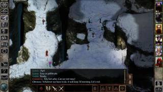 Icewind Dale EE Playthrough Part 21: Lysan Gets Lynched