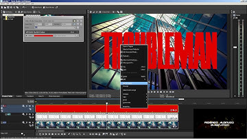 Movie Studio Platinum 14.0 Text Tutorial