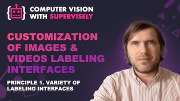 Principle 1. Customization of Images & Videos labeling interfaces