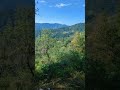 Murree Nature Vibes 🌲 | Hills, Cool Weather & Greenery in Pakistan 🇵🇰