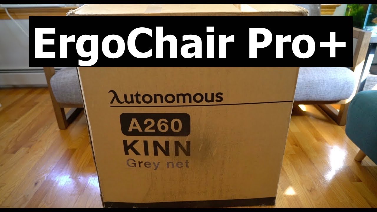 Cool Gray Ergonomic Office Chair - Autonomous ErgoChair Pro