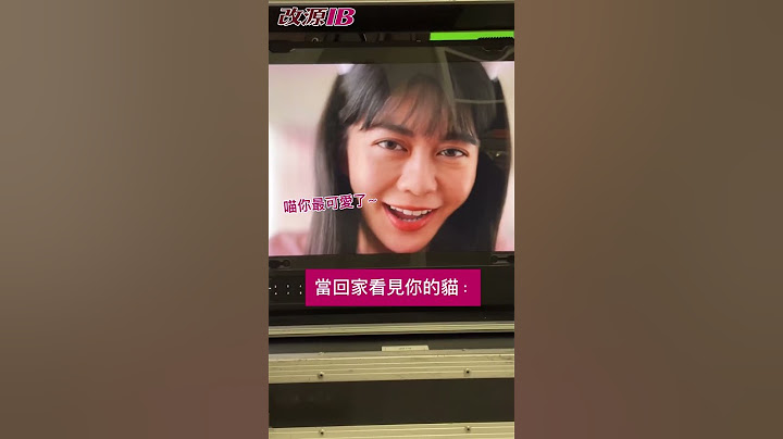 作為貓奴的你是不是很熟悉? feat.白癡公主