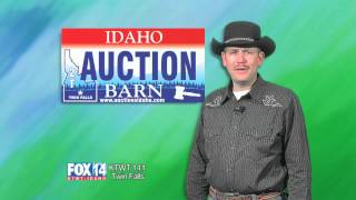 idaho auction barn cars fox id feb12 2014 4sec