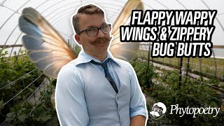 Flappy Wappy Wings & Zippery Bug Butts | Phytopoetry #nature by Integrated Pest Management 199 views 5 months ago 1 minute, 50 seconds