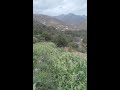 من اجمل اغاني للفنان الحسين امراكشي استمع وستمتع بي اجمل الالحان وجمل الكليماة